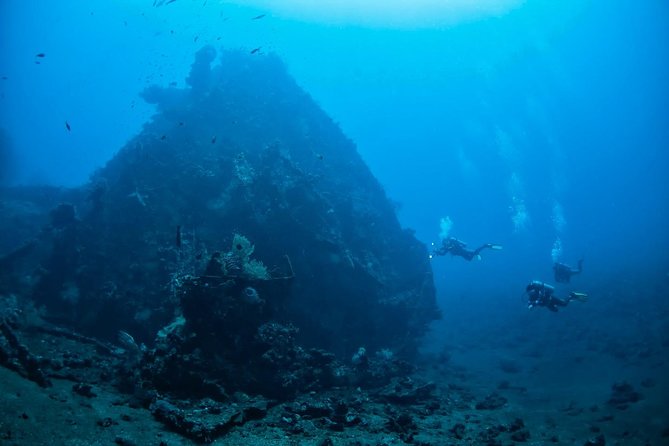5 Fun Dives in Tulamben (for certified divers) - Discover famous diving sites - Macro creatures reward patience