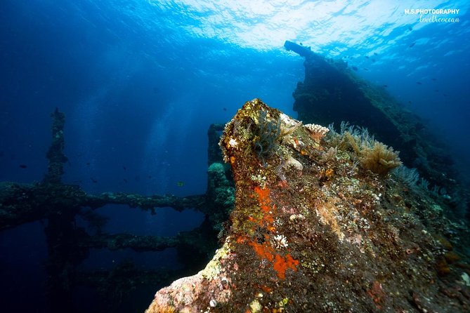 5 Fun Dives in Tulamben (for certified divers) - Discover famous diving sites - The Boga wreck, Coral Garden, and lava drop-off