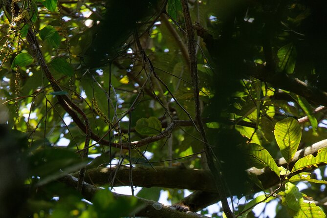6 Days Bukit Lawang - Berastagi Tour (2D1N Jungle Treking + Sunrise Hiking) - Day 3: returning from the forest, then seeing village life