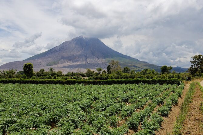 6 Days Bukit Lawang - Berastagi Tour (2D1N Jungle Treking + Sunrise Hiking) - Day 2: six to seven hours on foot in Gunung Leuser