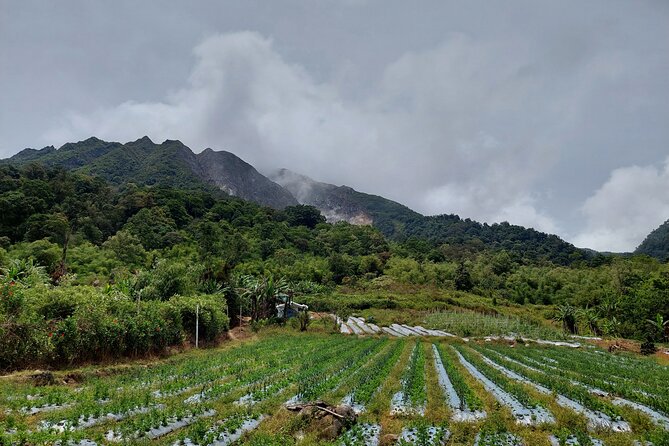 7 Days 6 Nights North Sumatra Tour (Bukit Lawang-Berastagi-Lake Toba) - Day 6: Samosir Island and Batak culture