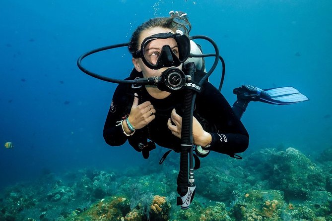 7 Fun Dives in Nusa Lembongan (for certified divers) - Premium Value Package - Manta Point: the main wildlife draw