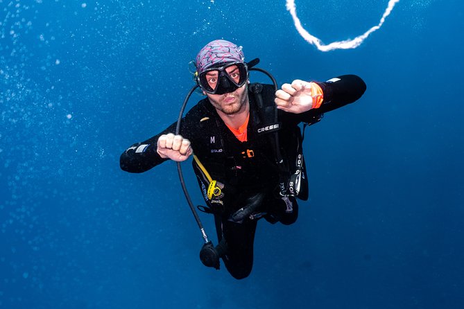 7 Fun Dives in Pemuteran (for certified divers) - Exploration in Menjangan Park - What the seven-session package really offers