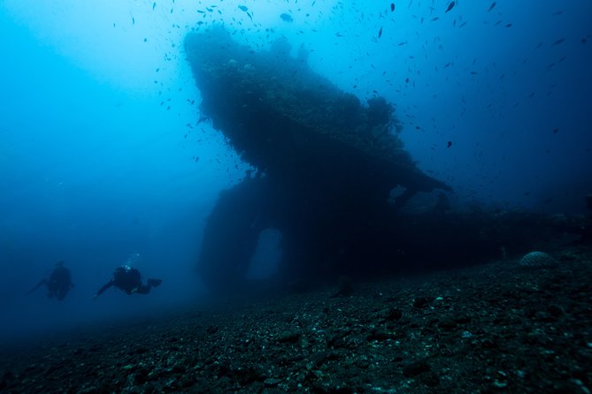 7 Fun Dives in Tulamben (for certified divers) - Premium Value Package - Why seven sessions work well in Tulamben
