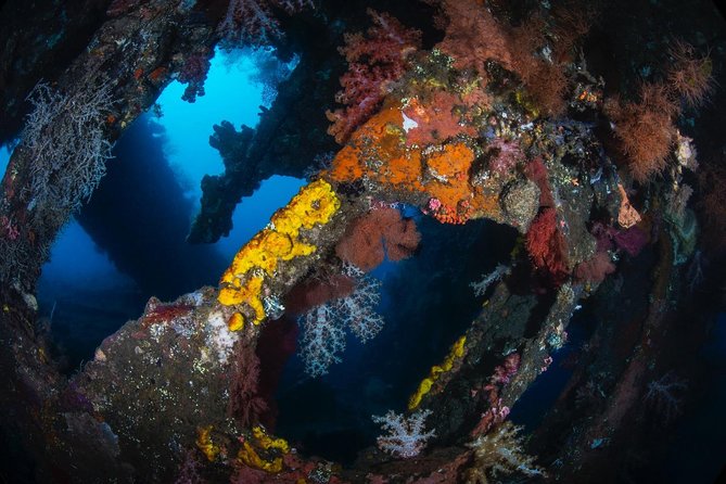 7 Fun Dives in Tulamben (for certified divers) - Premium Value Package - Small groups and the quality of guiding