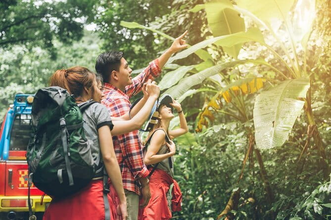 8 days group tour in Sumatra - Key points to know before booking