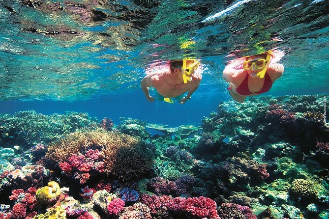 A Day to Komodo Island - Pink Beach, swimming, and a brief pause