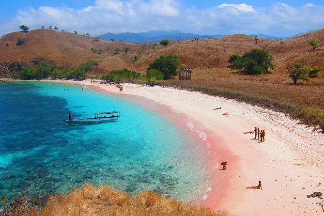 A Day to Komodo Island - Timing, transfers, and the weather question