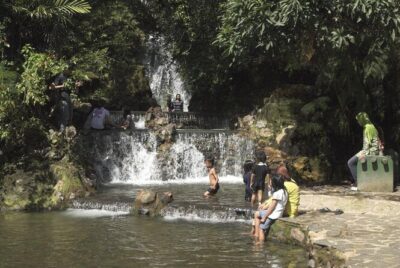 Active Volcano, Rice Field, Hot Spring, Fruit market, Tea Plantation with Lunch