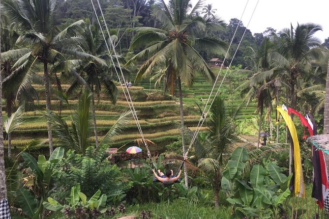 Adventures Tour : Bali Hidden Canyon Trekking - Beji Guwang - Stop 1: Beji Guwang Hidden Canyon and the wet start