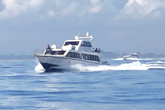 Airport Transfer Bali - A closer look at the vehicle and comfort