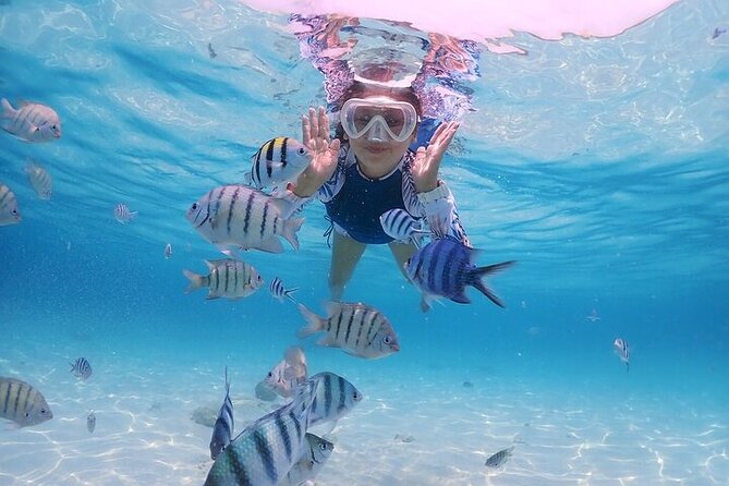 (ALL- IN) Bali Snorkeling Blue Lagoon with Waterfall Visit - Balinese coffee making at the afternoon plantation