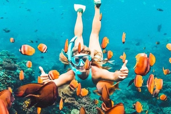 All Inclusive : Bali Blue Lagoon Snorkeling, Lunch, and Transport - What the six-hour Bali snorkeling day is really like