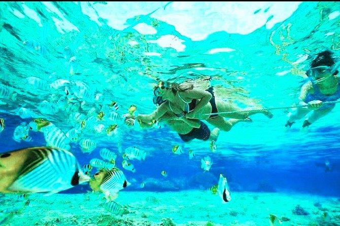 All Inclusive : Bali Blue Lagoon Snorkeling, Lunch, and Transport - Optional add-ons: waterfalls, ATV, or Hidden Canyon