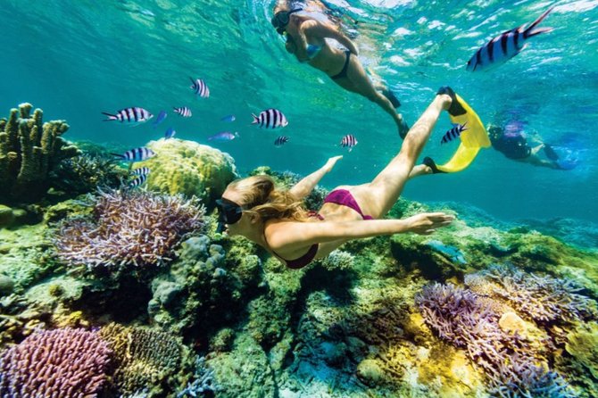 All Inclusive Bali Blue Lagoon Snorkeling with Lunch and Transport - What This East Bali Day Trip Actually Offers