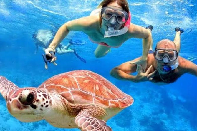 All Inclusive Bali Blue Lagoon Snorkeling with Lunch and Transport - Tanjung Jepun at 10:45 a.m.