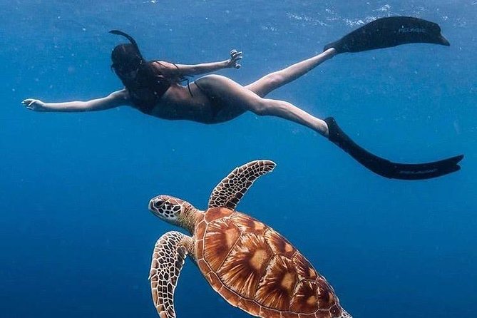 All Inclusive : Bali Blue Lagoon Snorkeling with Lunch &Transfers - Five useful things to know before you book