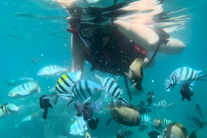 All Inclusive : Bali Blue Lagoon Snorkeling with Lunch &Transfers - From Ubud to Padangbai by private transfer