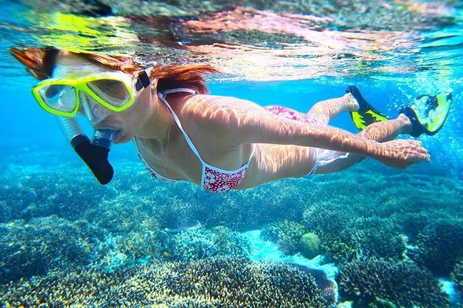 All Inclusive : Bali Blue Lagoon Snorkeling with Lunch &Transfers - Who will enjoy this snorkeling day most