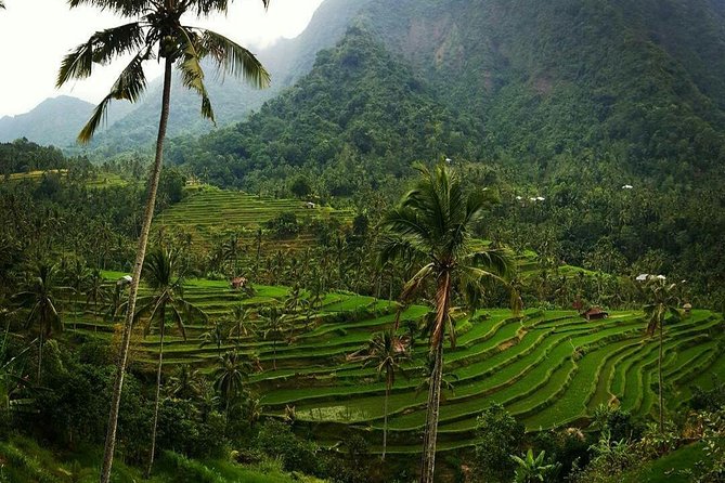 All inclusive Bali Sekumpul Waterfalls Trekking Tour - Swimming, slides, and safety in the water
