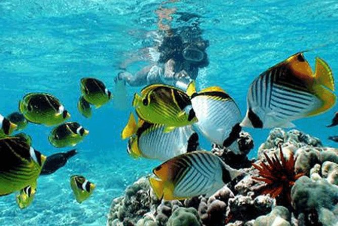 All Inclusive Bali Snorkeling Blue Lagoon tour experience - What the $70 price really covers
