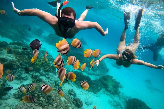 All Inclusive Blue Lagoon Snorkeling with Bali ATV Quad Adventure - Blue Lagoon snorkeling and the boat transfer