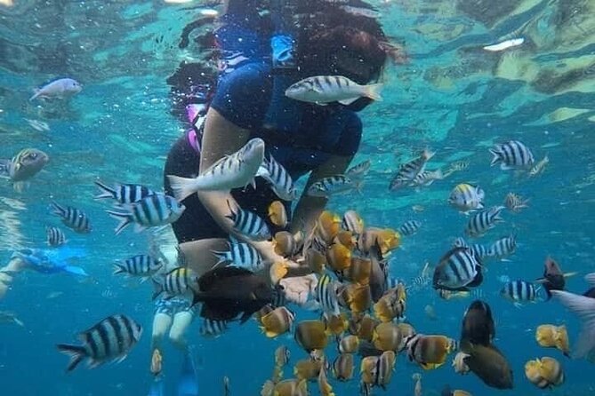 All Inclusive Blue Lagoon Snorkeling with Bali ATV Quad Adventure - How private transport changes the day