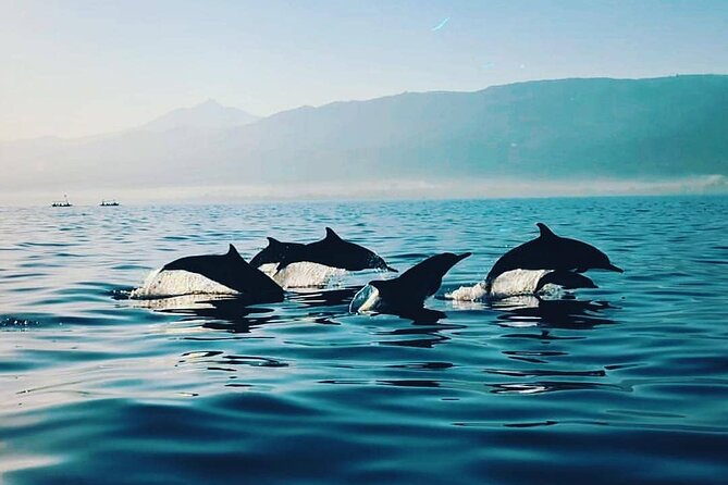 All inclusive Lovina Dolphins Sunrise tour, Waterfall & Temple - Git Git Waterfall and the two-hour hike