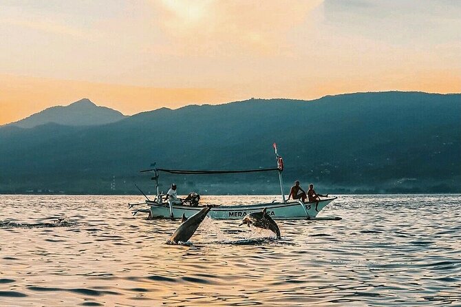 All inclusive Lovina Dolphins Sunrise tour, Waterfall & Temple - The driver matters on a day this long