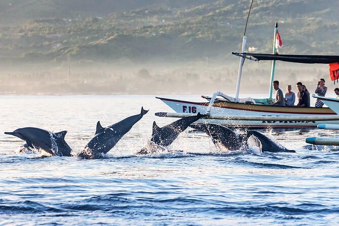 All inclusive Lovina Dolphins Sunrise tour, Waterfall & Temple - Booking, weather, and cancellation details