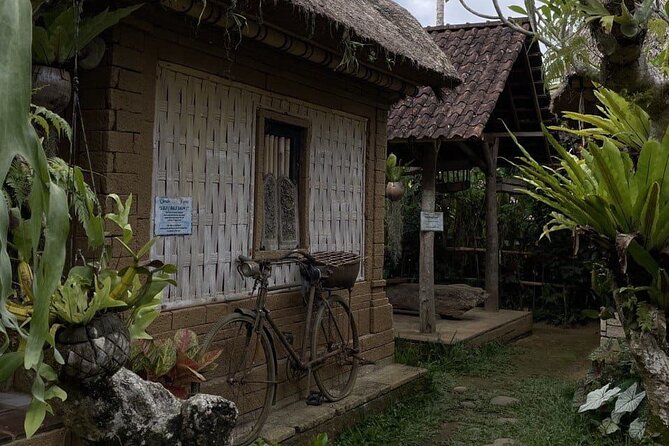 All Inclusive Ubud Cultural and Natural Highlights Tour - Tegalalang Rice Terrace and the jungle swing