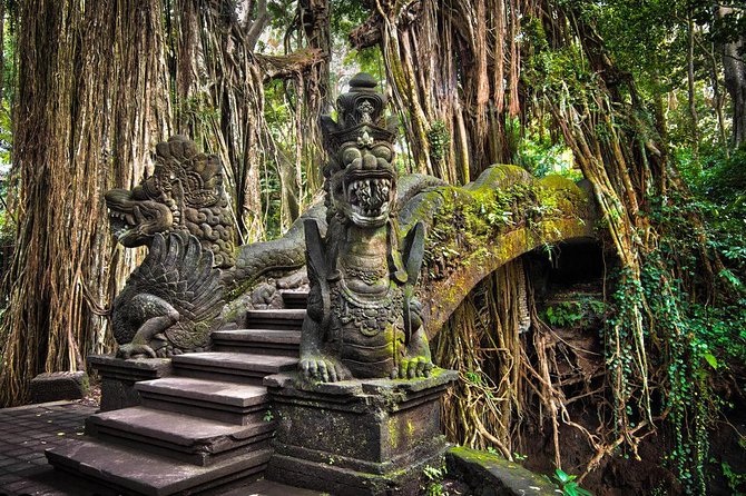 All-Inclusive Ubud Private Tour - Reading the terraces at Tegalalang