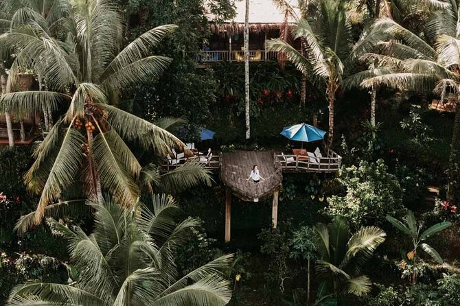 All-Inclusive Ubud Private Tour - Transport, guides, and the value of a private car
