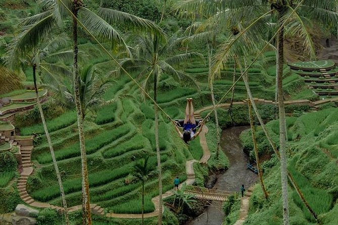 All inclusive Ubud private tour - Why the private format adds real value