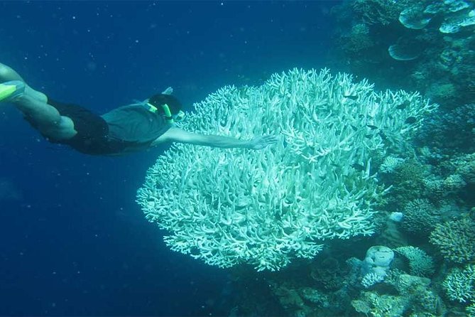 All Ticket Inclusive-Blue Lagoon Snorkeling-Ubud Monkey Forest & Ubud Waterfall - Tegenungan Waterfall near Ubud