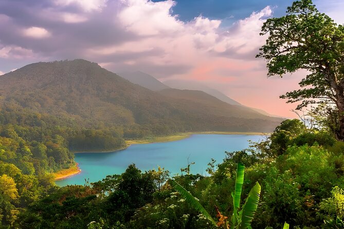 Amazing Bali Dolphin Watching Trip Experience - A 3:00 am start from Seminyak