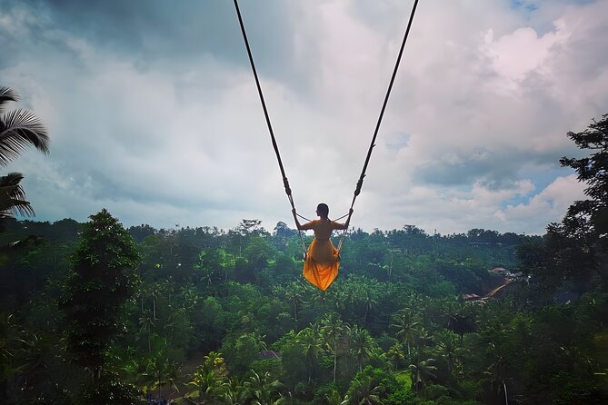 Amazing Bali Swing Experience with Ubud Full Day Tour - Seeing the stepped fields at Tegalalang Rice Terrace