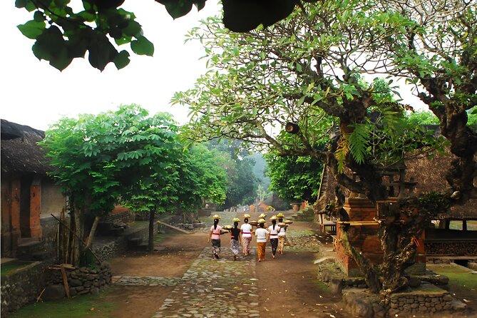 Amazing Private East Bali Full-Day Tour - Transport, pickup areas, and the long day