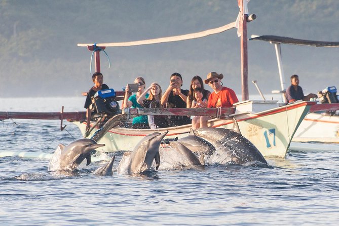 Amazing Private Tours: Dolphins Lovina and Gitgit Waterfall include Lunch - Lovina dolphins and the first light