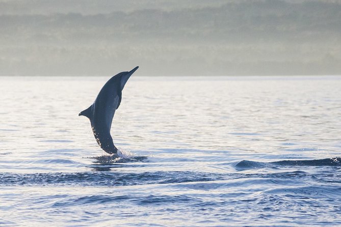 Amazing Private Tours: Dolphins Lovina and Gitgit Waterfall include Lunch - Gitgit Waterfall after the sea