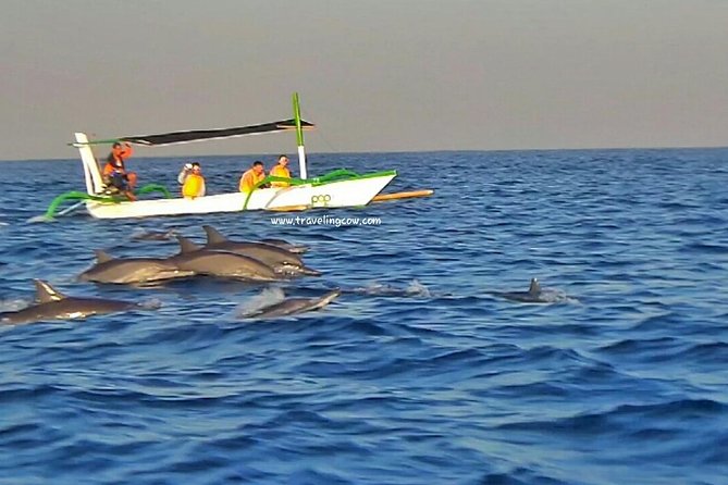 Amazing Private Tours: Dolphins Lovina and Gitgit Waterfall include Lunch - Lunch and Candikuning Market