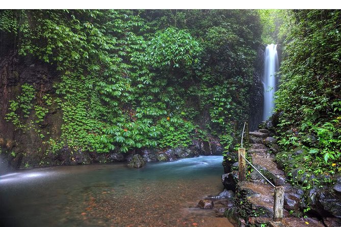 Amazing Private Tours: Dolphins Lovina and Gitgit Waterfall include Lunch - Is $78.50 per person good value?