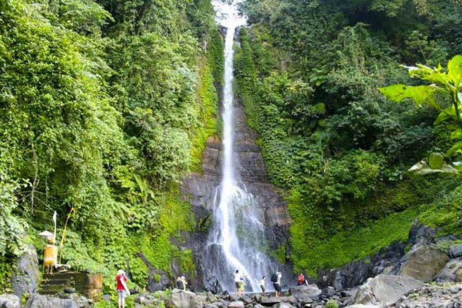 Amazing Private Tours: Dolphins Lovina and Gitgit Waterfall include Lunch - Ulun Danu Beratan Temple and its gardens