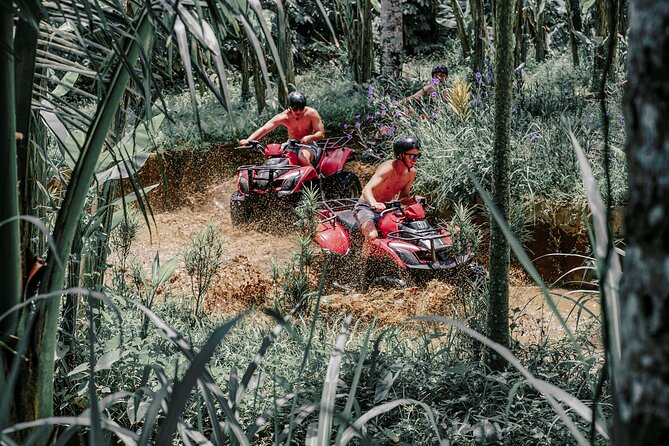 ATV Quad Bike Bali with Waterfall Gorilla Cave and Lunch - Lunch beside the rice terraces