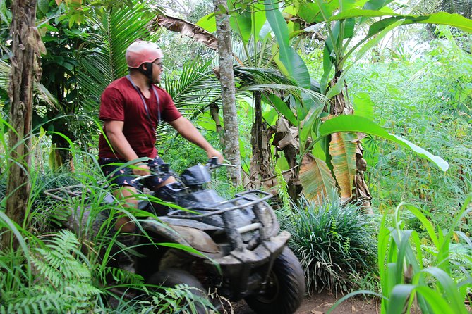 ATV Quad Bike with Kintamani Volcano Tour - All Inclusive - Why this combination works for one full Bali day