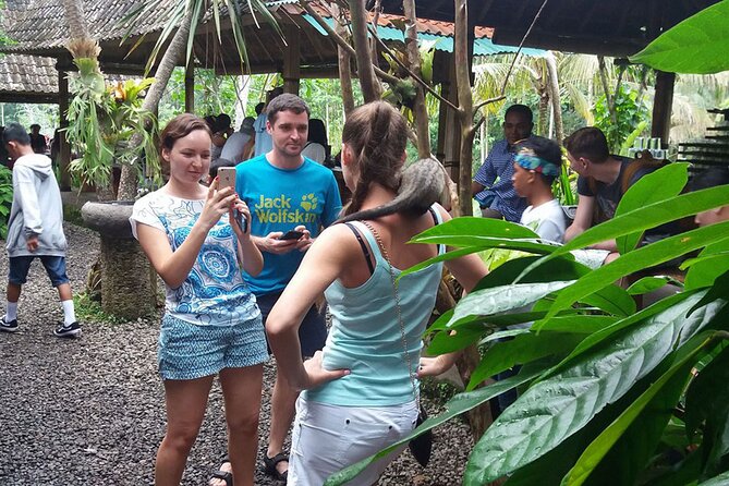 ATV Quad Bike with Kintamani Volcano Tour - All Inclusive - What the $60 price really covers
