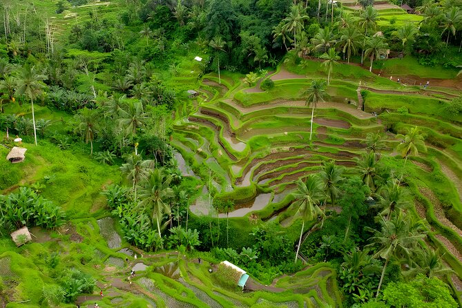 Ayung River Rafting and Kintamani Volcano Trip - Celuk Village and Bali’s silver workshops