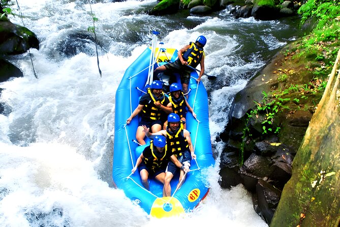 Ayung River Rafting and Ubud Waterfall Tour - Tegalalang Rice Terrace: a short stop with big views