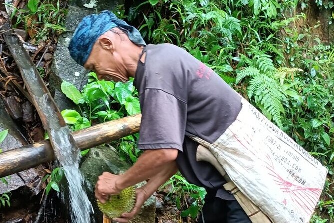 Baduy Tribal Tracker and Village in Private Tour Full Day & Lunch - The three-hour drive sets the pace