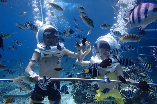 Bali Activity: Bali Sea Walking in Nusa Dua Ocean - The underwater walk: ten minutes that feel different